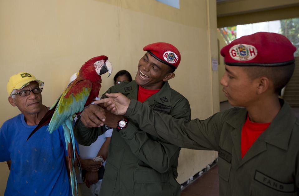 Presidential guards play with a school's parrot mascot as they wait to cast their ballots at a school serving as a voting center in Caracas, Venezuela, Sunday, Dec. 9, 2018. Venezuelans head to the polls Sunday to elect local city councils amid widespread apathy driven by a crushing economic crisis and threats of expulsion by opposition groups for candidates who participate in what they consider an "electoral farce." (AP Photo/Fernando Llano)