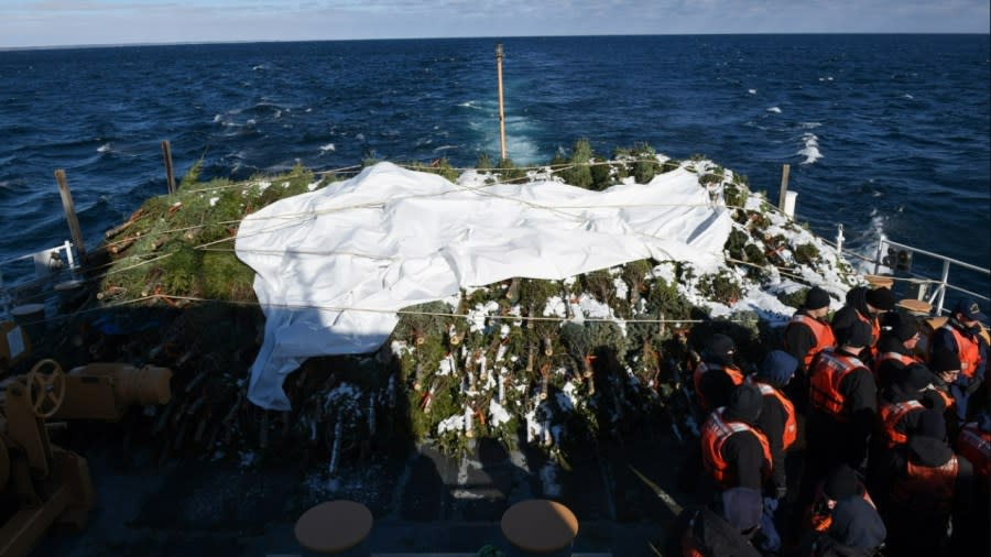 A large pile of Christmas trees are bundled together at the back of the U.S. Coast Guard Cutter Mackinaw.