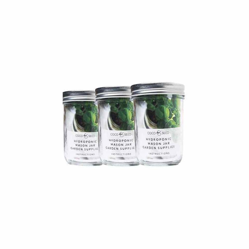 Hydroponic Mason Jar Garden Superfoods Set