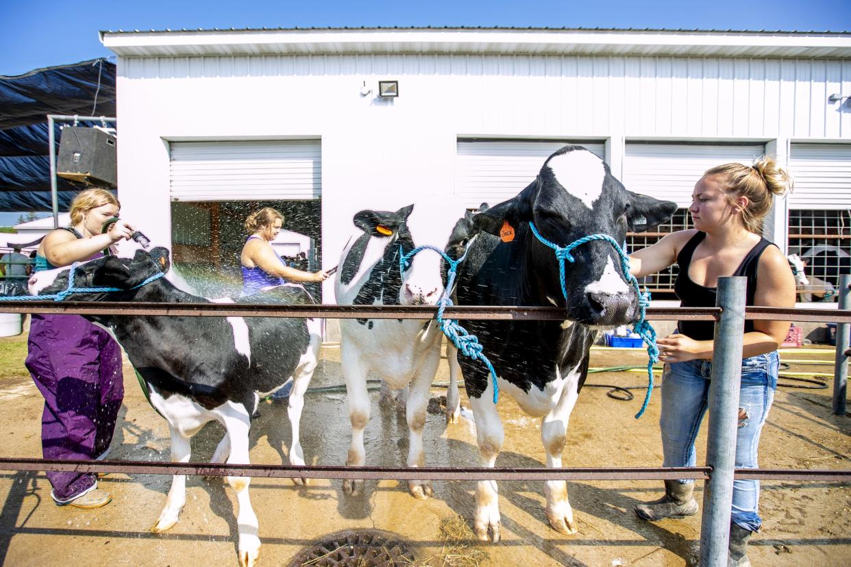 Oconto County Youth Fair to featuring emergency providers, carnival