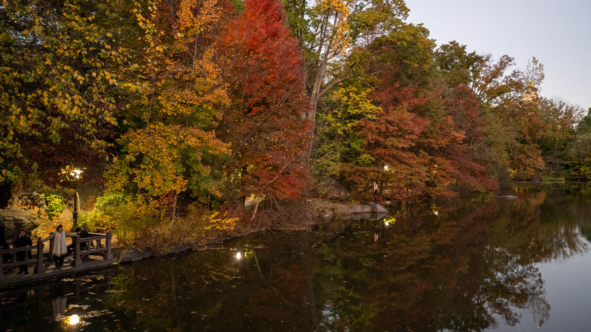 Red: The Hottest Color For Fall - Merrick's Art