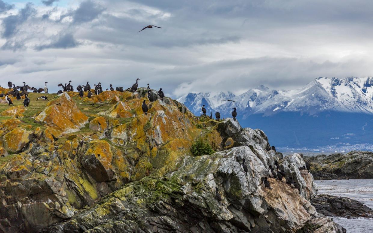 During the Ice Age, Tierra del Fuego and mainland South America were connected by a land bridge