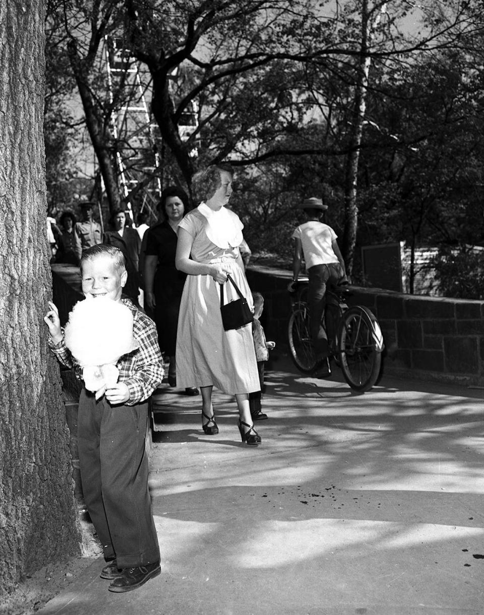 April 8, 1951: Wayne John, son of Mr. and Mrs. R.E. John of 105 W. Mason, takes time out to enjoy a cotton candy stick and get some rest. Between 10,000 to 12,000 persons visited the Forest Park Zoo during the day.