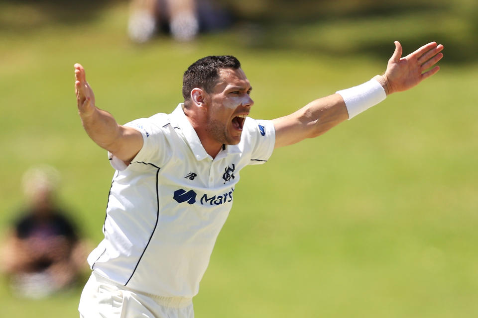 Pictured here, Victoria quick Scott Boland appeals for a wicket against NSW.