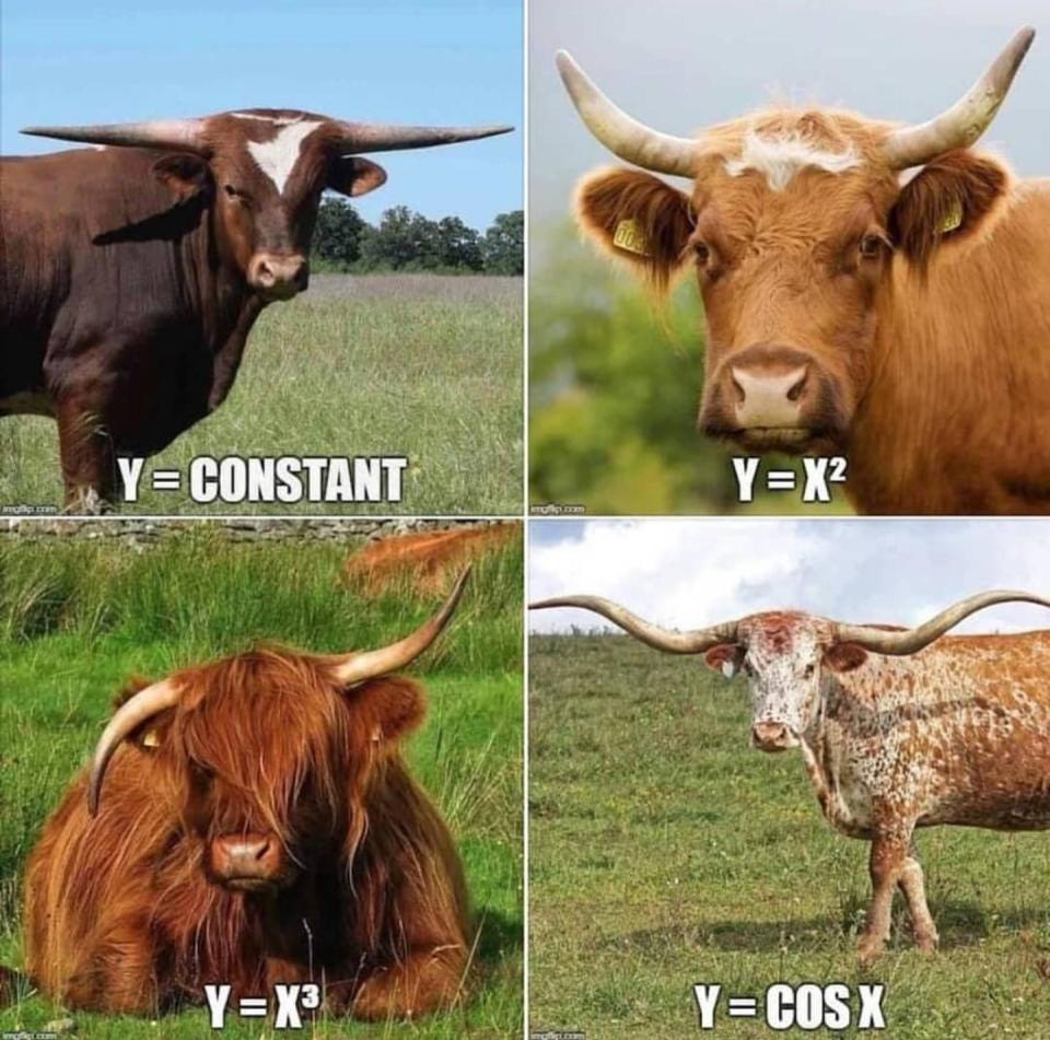 y= different equations and different cows