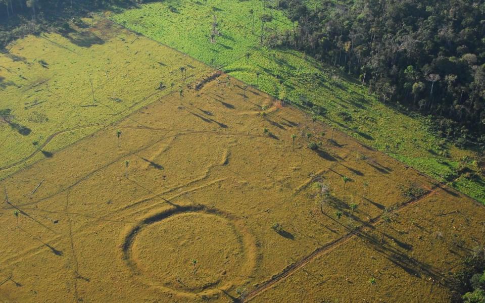 Hundreds of ancient earthworks resembling Stonehenge found in Amazon rainforest