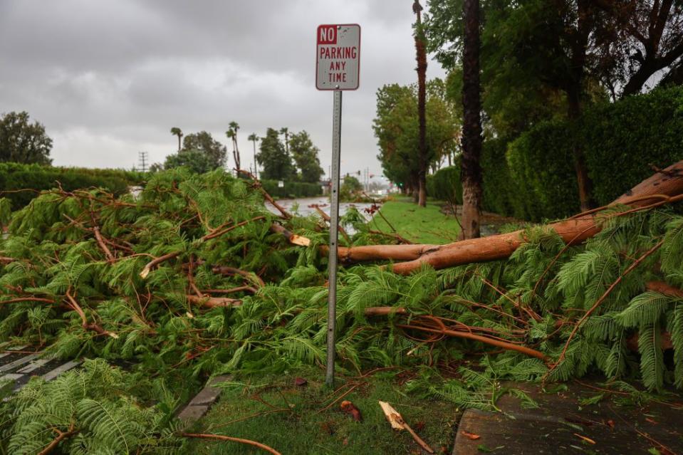 A broken tree limb partially blocks a road as Tropical Storm Hilary moves through Cathedral City, California.