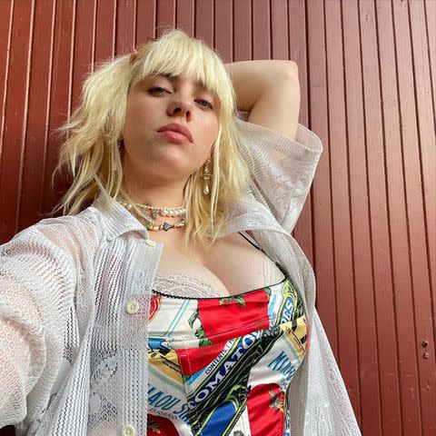 <p>Billie Eilish/instagram</p>