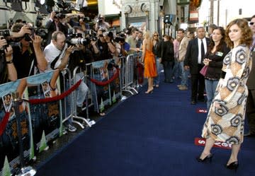 Amber Tamblyn at the Hollywood premiere of Warner Bros. Pictures' The Sisterhood of the Traveling Pants