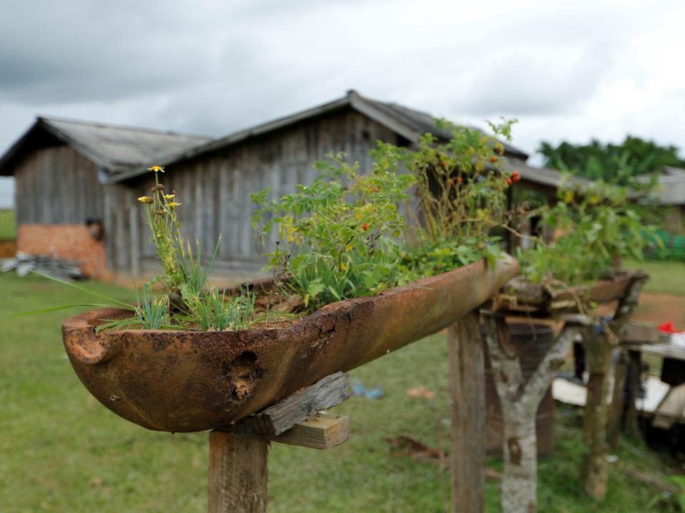 A bomb dropped by the U.S. Air Force planes during the Vietnam War is used to grow plants in the village of Ban Napia in Xieng Khouang province, Laos