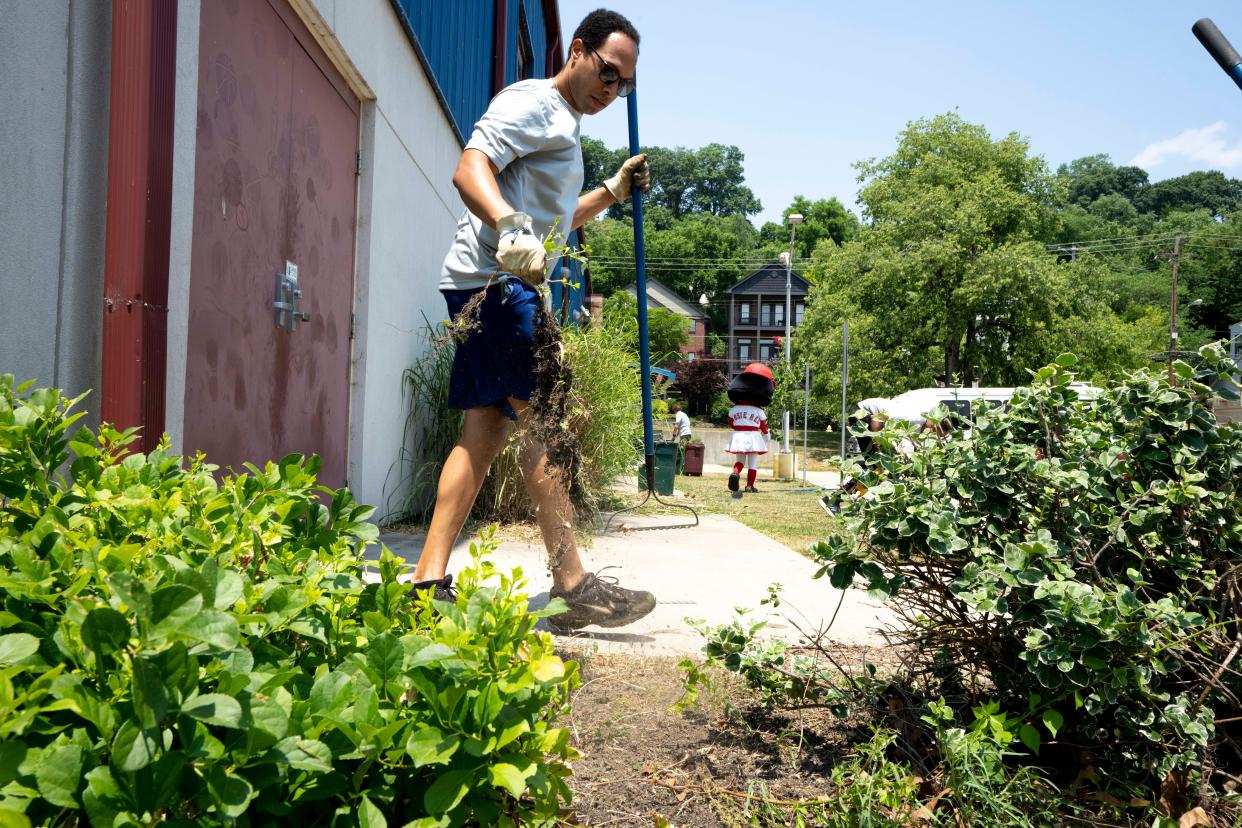 It's time to clear those weeds!