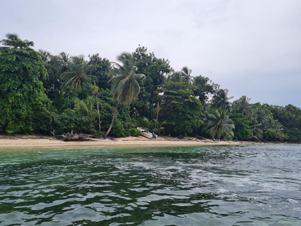 shoreline of zapatilla island in panama