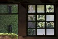 A building which is covered with leaves is seen through broken windows of an empty house at the abandoned fishing village of Houtouwan on the island of Shengshan July 26, 2015. (REUTERS/Damir Sagolj)