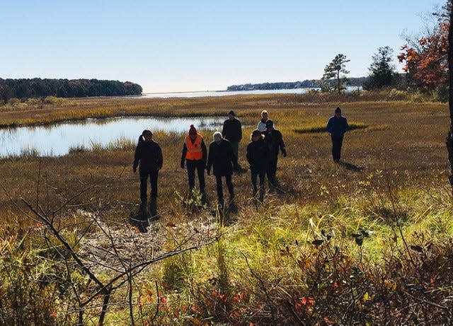 Hikers walk around Crocker Neck during a bog stomping walk with the Barnstable Land Trust.