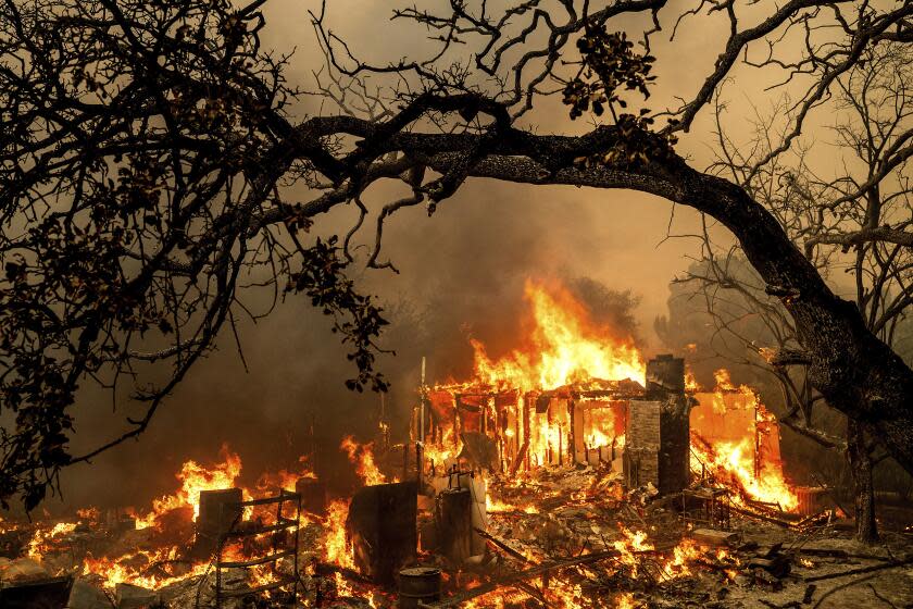 Flames consume a structure on Bessie Lane as the Thompson Fire burns in Oroville, Calif., Tuesday, July 2, 2024. An extended heatwave blanketing Northern California has resulted in red flag fire warnings and power shutoffs. (AP Photo/Noah Berger)