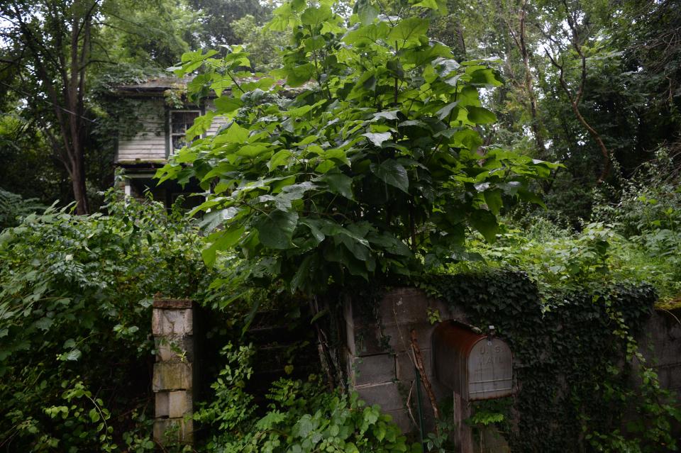 If you don't notice the mailbox jutting out into Jones Street, you might completely miss this home that has been fallen back into the shadows, much like Uniontown itself.