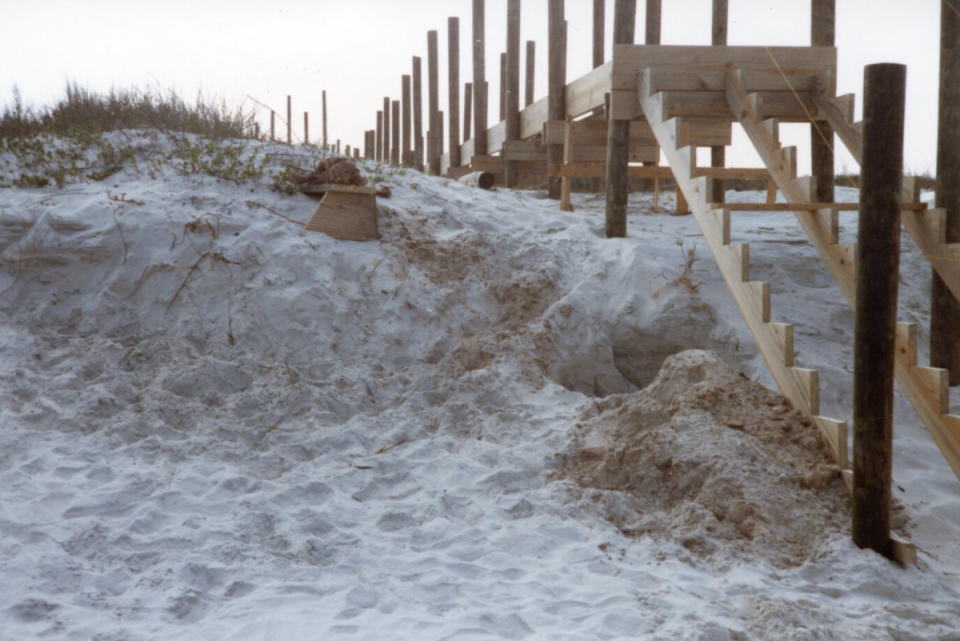 Skeletal remains found in a shallow grave by construction workers on Crescent Beach, Florida in 1985 were positively identified as Mary Pultz (St. Johns County Sheriff’s Office)