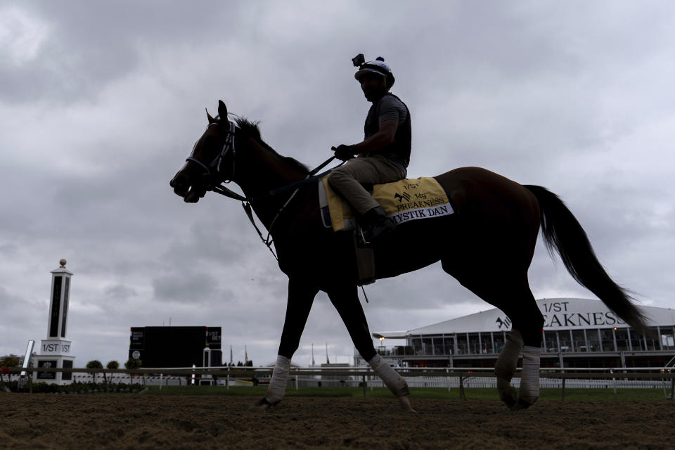 Kentucky Derby winner and Preakness Stakes entrant Mystik Dan works out ahead of the 149th running of the Preakness Stakes horse race at Pimlico Race Course, Friday, May 17, 2024, in Baltimore. (AP Photo/Julia Nikhinson)