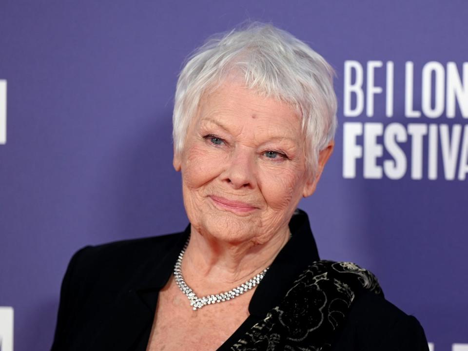 Judi Dench (Stuart C. Wilson/Getty Images fo)