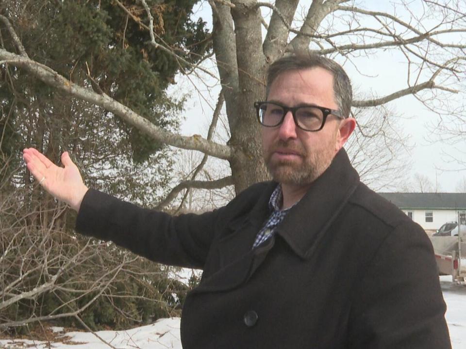 Mike Montigny from the forests, fish and wildlife division of the Department of Environment says this kind of debris could be a fire hazard given the right conditions.  (Sheehan Desjardins/CBC - image credit)