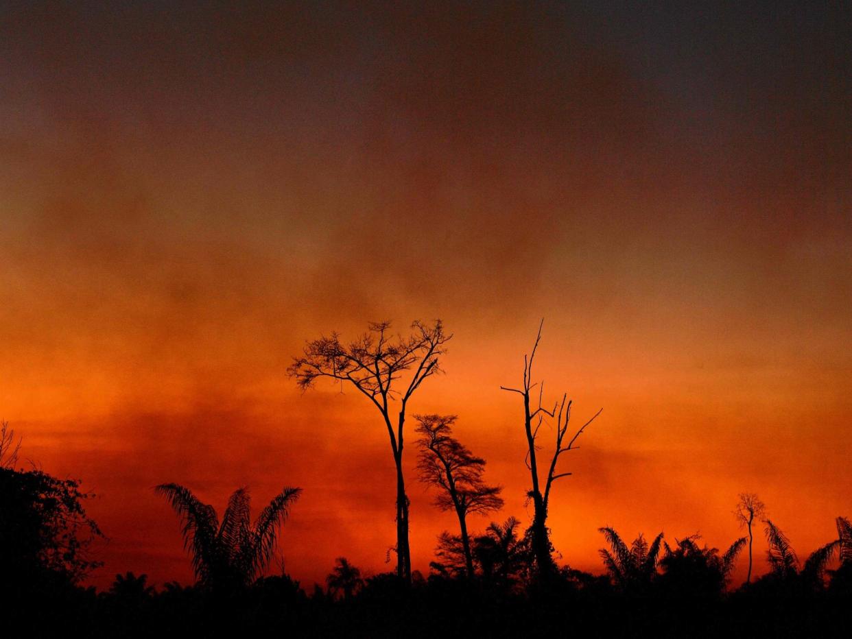 Smoke rises from a burnt area of land a the Xingu Indigenous Park, Mato Grosso state, Brazil, on 6 August 2020: AFP/Getty