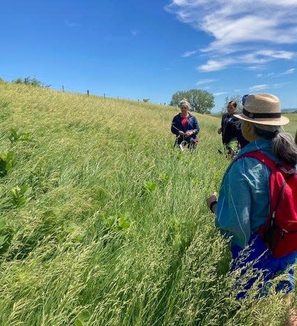 Rosenberg teaches students how to collect native seed and which sowing methods work best.