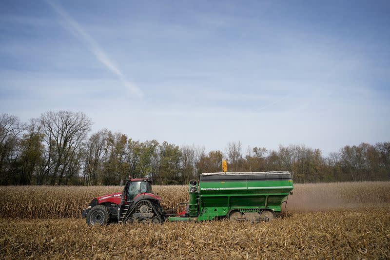 FILE PHOTO: Corn is harvested from a field on Hodgen Farm in Roachdale