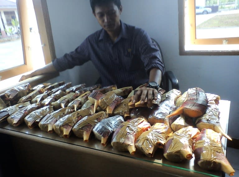 Hornbill ivory seized by the Forest Police Rapid Reaction Unit are displayed at their headquarters in Pontianak, West Kalimantan province, in 2013