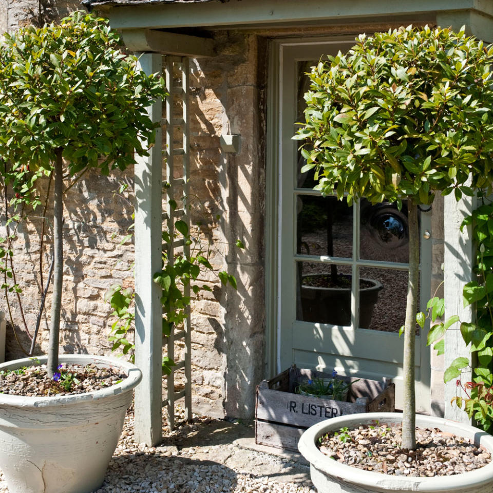 Flank the front door with potted bay trees