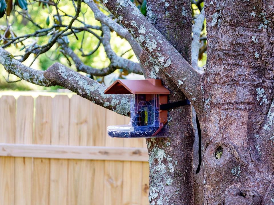 Wasserstein Bird Feeder Camera Case Review