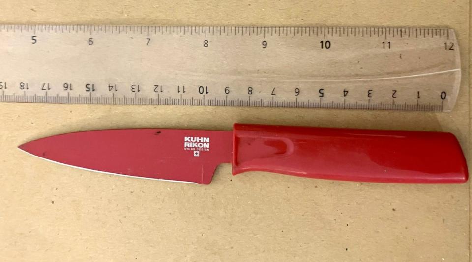 A knife used by Damien Byrnes, 36, from Tottenham, north London, to remove the penis of Marius Gustavson (Metropolitan Police/PA Wire)