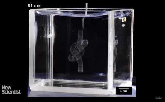 3D 打印技術不斷進步，人造器官還會遠嗎？