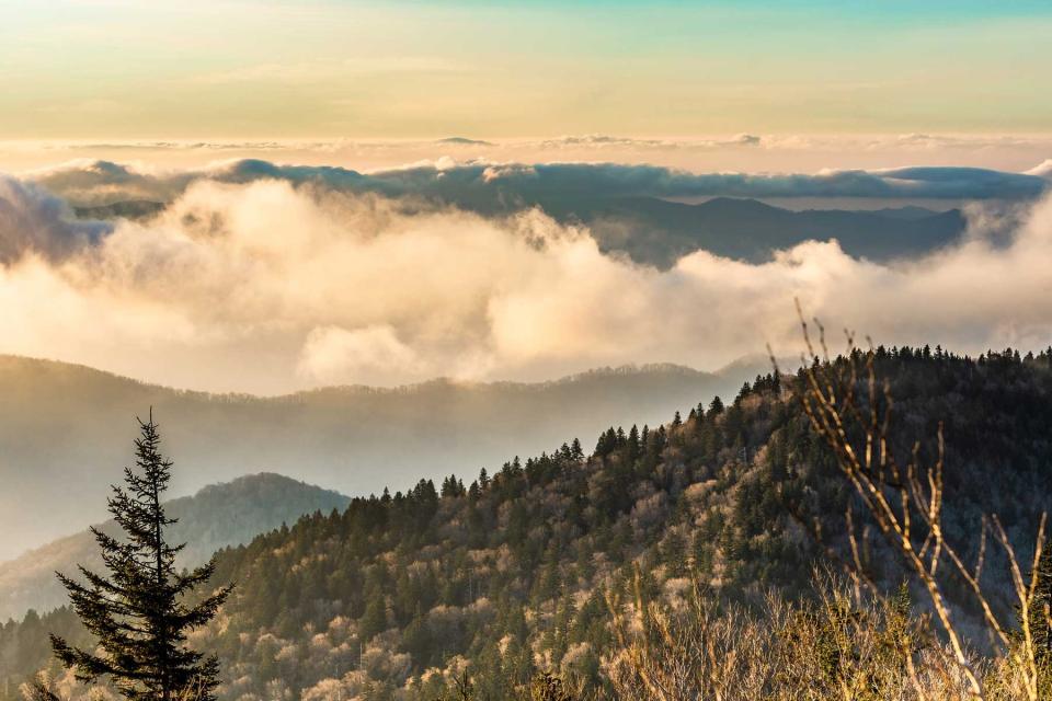 Scenic view from Clingmans dome, Great Smoky Mountain Nation Park , Tennessee USA