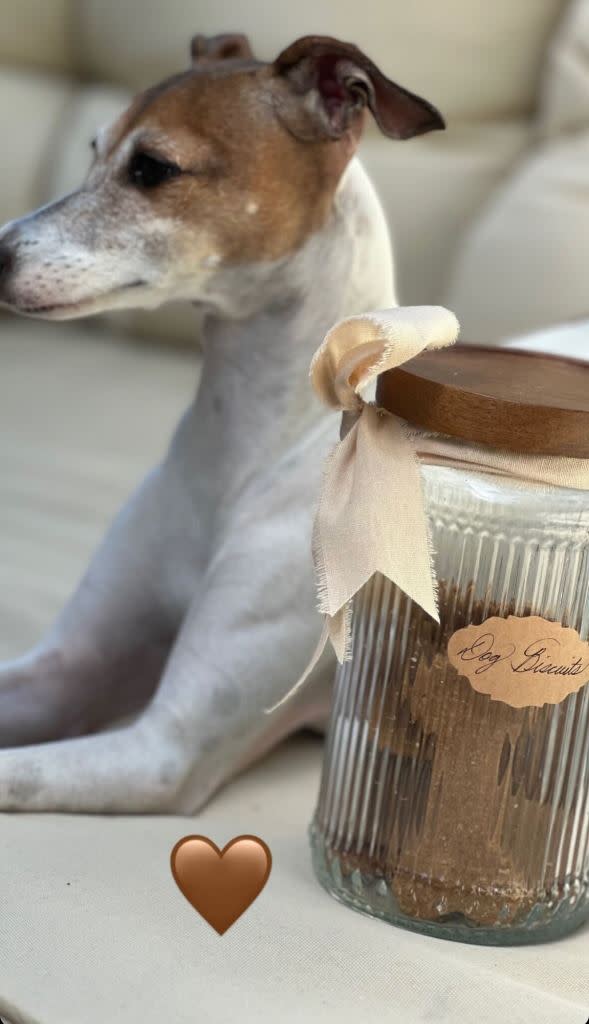 Markle’s pal debuted dog biscuits that were seemingly sent from the Duchess. Instagram/nachofigueras