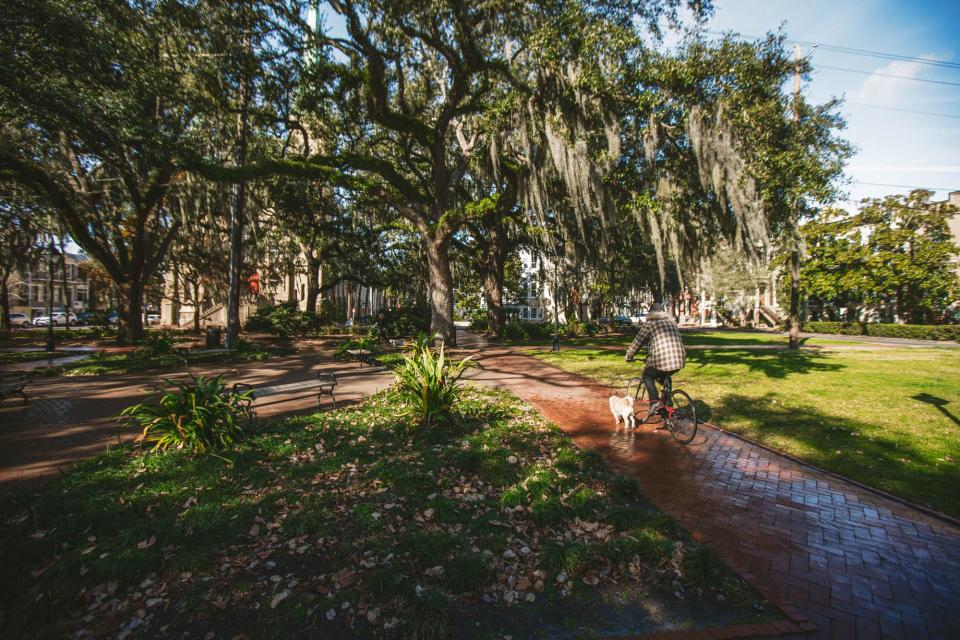 A bicycle rider and his dog make their way through Calhoun Square on Abercorn Street. The square was named in honor of John C. Calhoun, a United States Senator from South Carolina, who served as the Vice President under John Quincy Adams and Andrew Jackson.