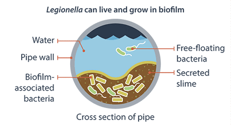 <span class="caption">Factors that lead to Legionella growth in biofilm,</span> <span class="attribution"><a class="link " href="https://www.cdc.gov/legionella/wmp/overview/growth-and-spread.html?CDC_AA_refVal=https%3A%2F%2Fwww.cdc.gov%2Flegionella%2Fwater-system-maintenance%2Fgrowth-and-spread.html" rel="nofollow noopener" target="_blank" data-ylk="slk:CDC;elm:context_link;itc:0;sec:content-canvas">CDC</a></span>