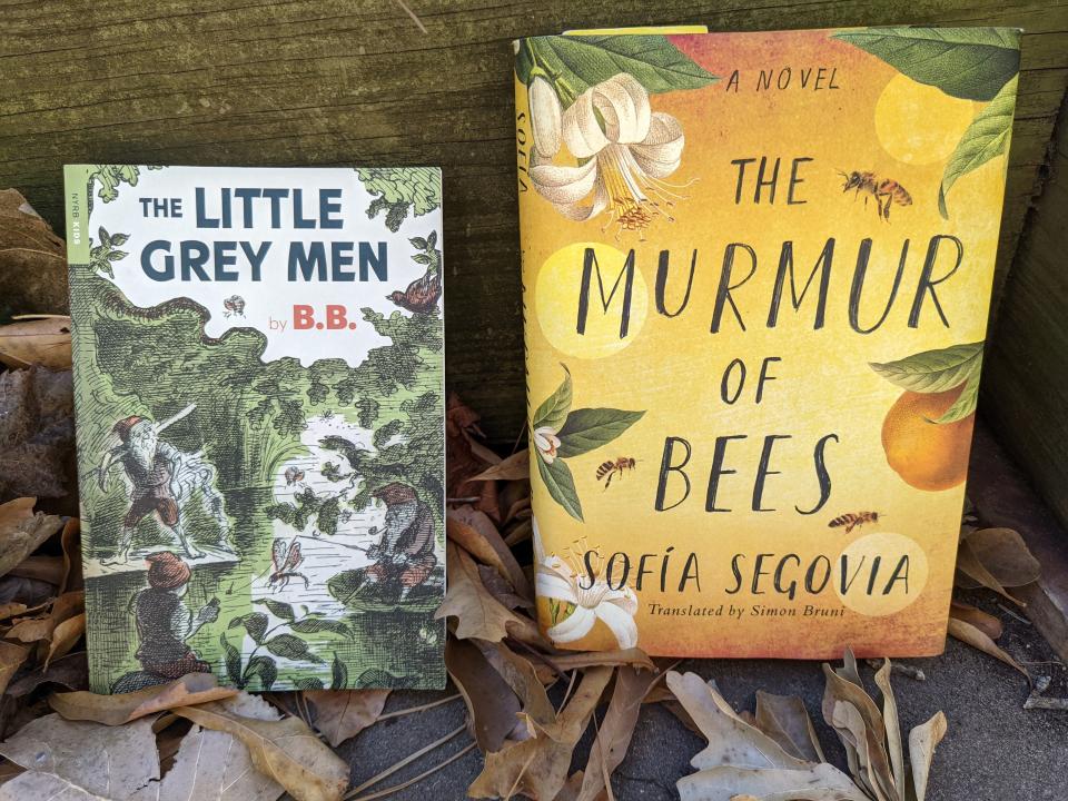 A light-hearted read, “The Little Grey Men”, is a little nature hike through England with gnomes. The Murmur of Bees is an intense piece of work. During the doldrums that followed the end of the Yule season, columnist Becky Carlberg finished reading two books.