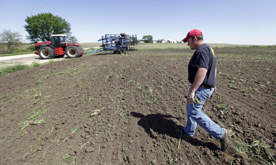 Mike Young walks through a field after preparing it for corn planting, Thursday, May 10, 2012, near Farrar, Iowa. The U.S. Department of Agriculture estimates a record corn crop this year, topping the previous high by 11 percent.(AP Photo/Charlie Neibergall)