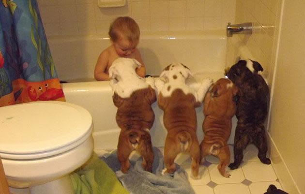 <p>All the times kids were the cutest dog-sitters</p>