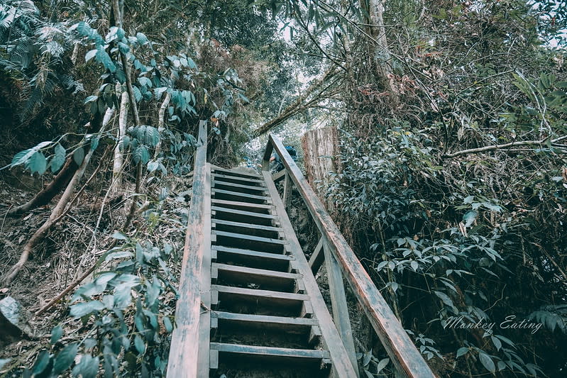 台中｜谷關七雄 白毛山步道