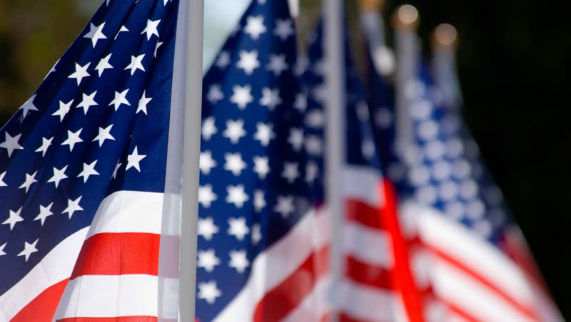 United States flags displayed as tribute of military veterans in the United States of America.