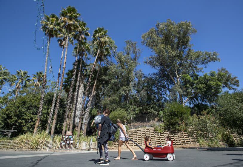 LOS ANGELES, CA - OCTOBER 15, 2021: Visitors walk past the entrance, background, of an area of the Los Angeles Zoo slated for redevelopment. The 20 acre expansion of the zoo would include a new hilltop Yosemite lodge-style California Visitor Center with sweeping views of a 25,000 square foot vineyard. The zoo's new "20-year Vision Plan" would give the 55 year old facility a competitive edge in a market dominated by powerhouse tourist attractions such as Disneyland, Magic Mountain, Universal City, and Seaworld when L.A. hosts the 2028 summer Olympics. (Mel Melcon / Los Angeles Times)