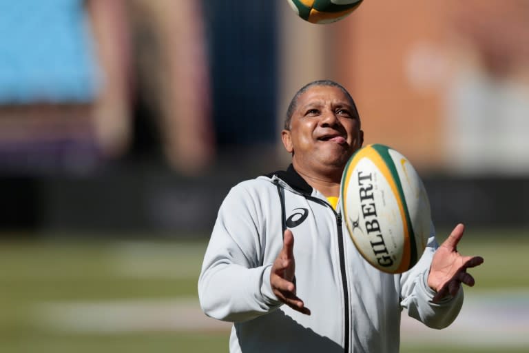 "The next six contests will be completely different to what we faced against France in June," warned coach Allister Coetzee