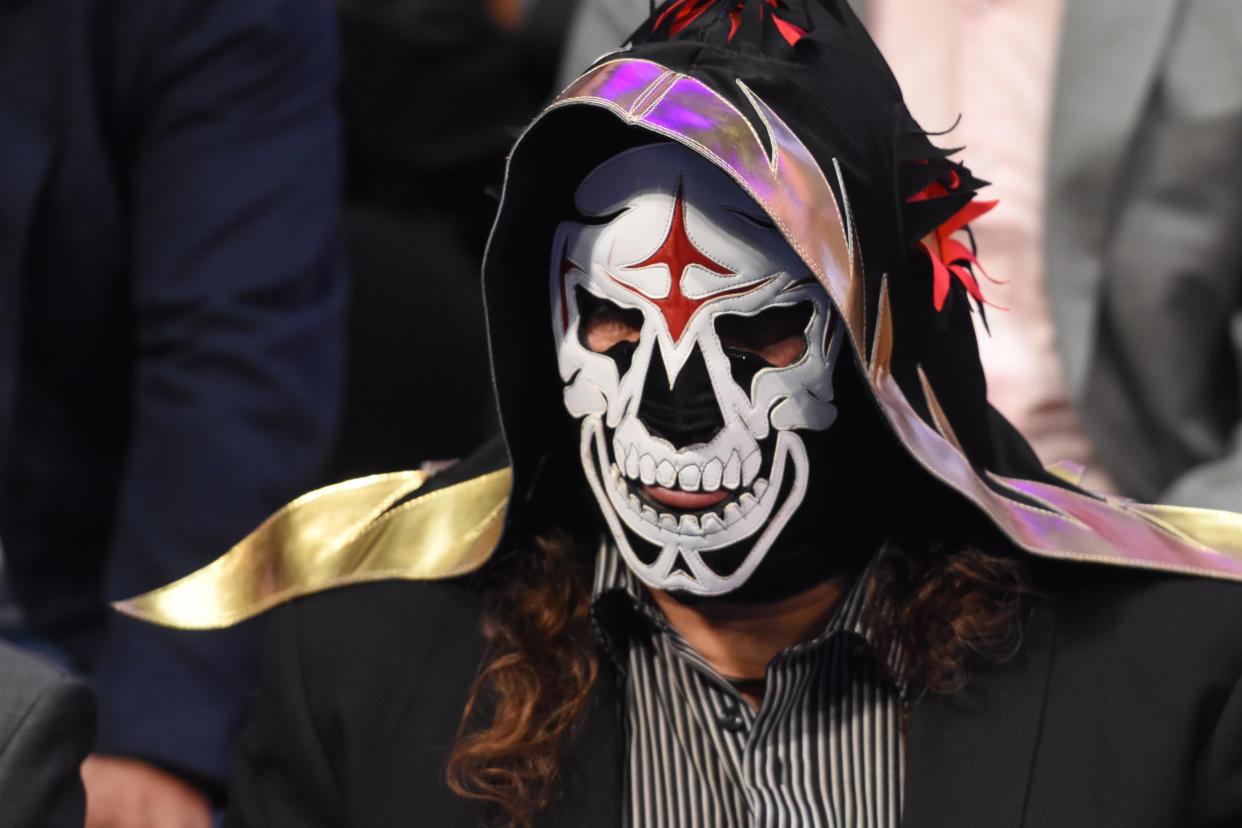 La Parka is seen  during World Day Against Cancer at city hall on February 08, 2017 in Mexico City, Mexico (Photo by Carlos Tischler/NurPhoto via Getty Images)