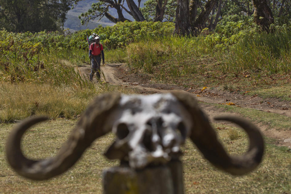 A hiker approaches the Chogoria Gate on the slopes of Mount Kenya, the second-highest peak in Africa at 5,199 meters (17,057 feet), in Kenya Tuesday, March 20, 2012. Fires that have been raging across Mount Kenya may have been set by poachers trying to create a diversion from their illegal attacks on animals, a wildlife official said Tuesday. (AP Photo/Ben Curtis)