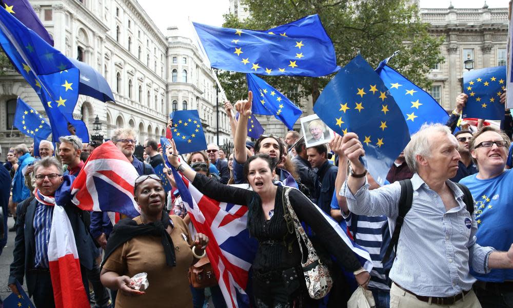 Pro and anti Brexit demonstrators clash in the run up to EU referendum