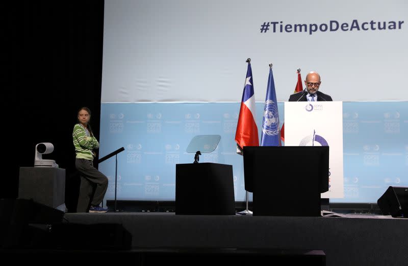 U.N. Climate Change Conference (COP25) in Madrid