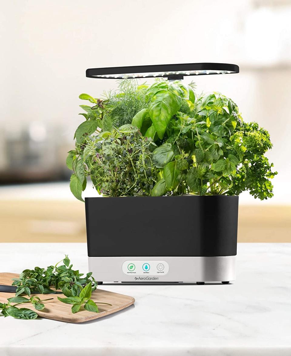 <p>Know someone with a green thumb? Get them this <span>AeroGarden Harvest-Black Indoor Hydroponic Garden</span> ($80, originally $150) for indoors. It will grow everything from thyme to rosemary.</p>