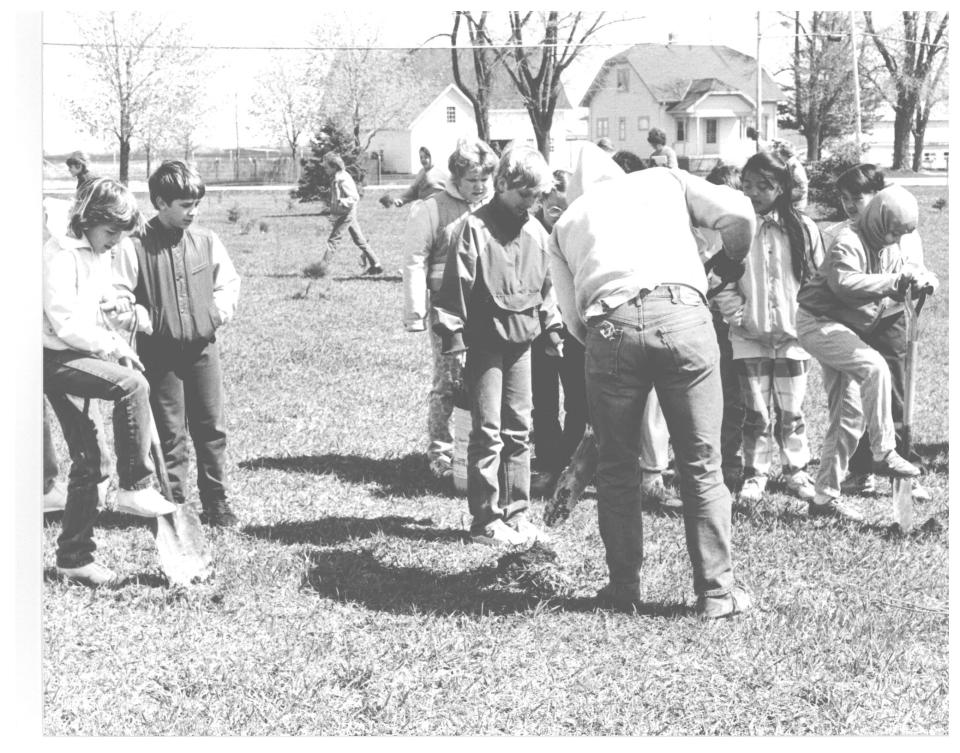 School students plant pine saplings along Mueller Road in the 1980s. Today, this mature pine forest provides valuable habitat to many birds and animals in the park.