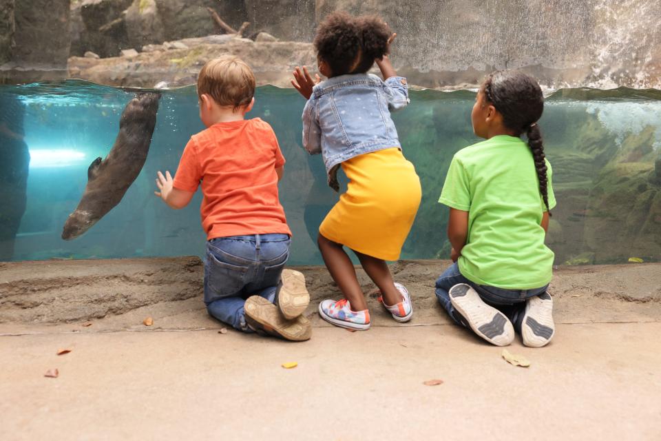 As part of the conservation efforts at zoos, they educate people - mostly children - on the creatures large and small that they work to save. These children are at the Maryland Zoo in Baltimore. The photos was taken by Shawn Hubbard.